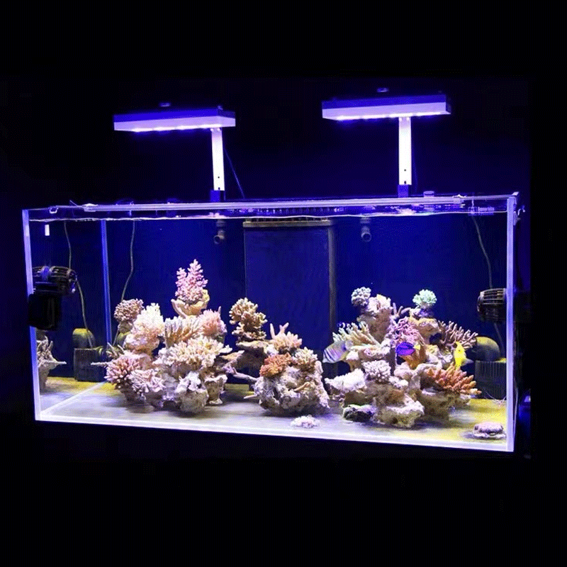 Aqua Illumination AI Hydra 32H - Reef Lighting review and price
