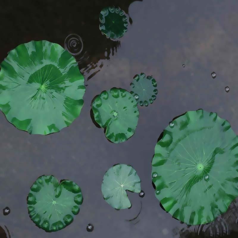 2026 Artificial Water Lily Lot - Ocean Aquarium review and price