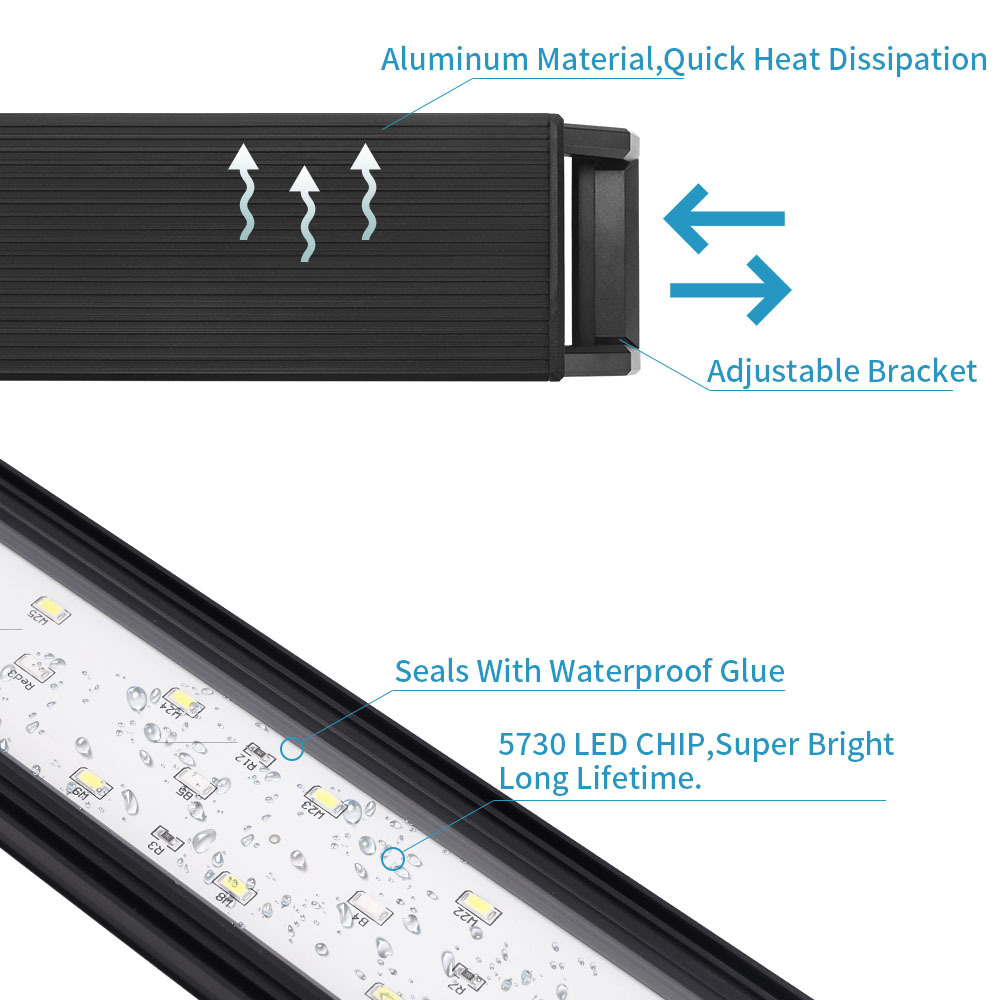 Adjustable Brightness of Fish  - Reef Lighting review and price